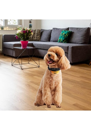 Suntek Su Geçirmez Köpek Eğitim Tasması Titreşim Turuncu