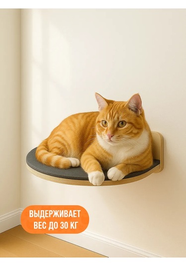 Go Cats Kediler İçin Halılıklı Duvara Monte Kitaplık 430861487