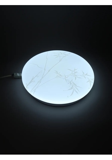 General Lighting Systems Yatak Odası, Oda İçin Tavan Lambası, Led 18w Avize 314438342 Beyaz