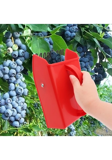 Fochsia Epathchina Kırmızı Metal Taraklı Büyük Kapasiteli Plastik Meyve Toplama Aracı