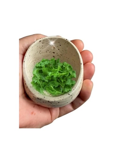 Pazly-seramik Soyucu Kase - Farklı Delik Boyutları, Yuvarlak Tasarım, Pratik Ve Dayanıklı Beyaz