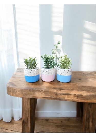 Renkli Saksı Seti Sukulent Kaktüs Dekoratif Eşya- Ev Dekorasyon - Saksı Seti 4