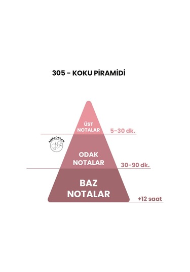 BEX 305 Unisex Parfüm EDP 50 ML