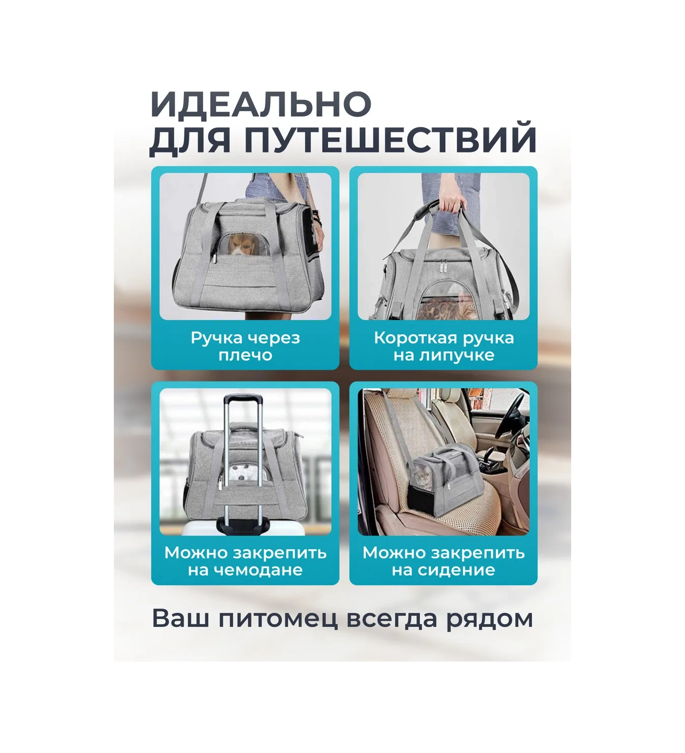 Platser Group Kedi Ve Köpekler İçin Taşıma Çantası 213868100