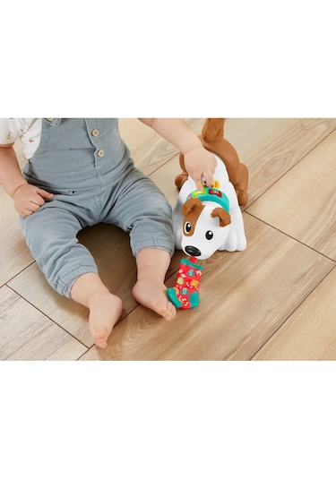 Fisher-Price HHH13 Emeklemeyi ve Saymayı Öğreten Köpekçik