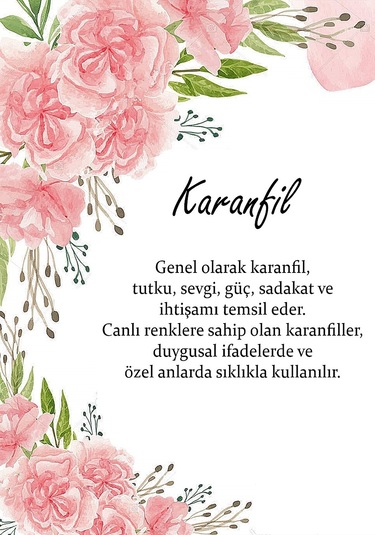 2024 Yılına Özel Ekim Seti