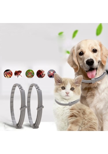 Pet Pire Ve Anti-bit Yaka Pet In Vitro Böcek Kovucu Yüzük, Boyut: Küçük Köpek / 38cm