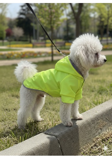 Patilinka Kedi Köpek Kışlık Kıyafet Yeşil Kapüşonlu Yağmurluk