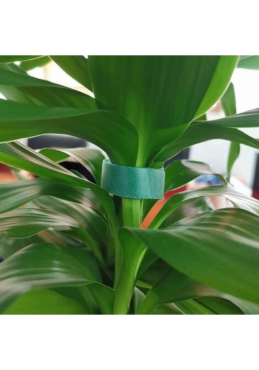 Reedark 2 Adet Bahçe Bitki Sabitleyici, 10mmx10m Nilon Bant, Yeniden Kullanılabilir, Çift Taraflı, Hava Dayanıklı, Dal Ve Sarmaşık Taşınımı İçin