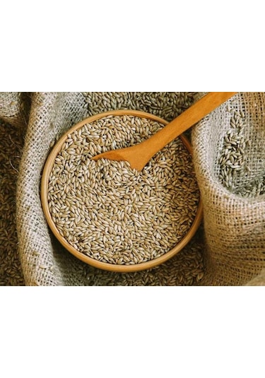 Kanarya Yemi İthal Kanada Aspur 500 G