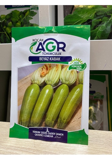 Agr Beyaz Kabak Tohumu Kabak