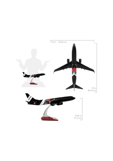 Zekupp Boeing 737-800 1/100 Ölçek Siyah Kartal Tasarımlı Maket Uçak