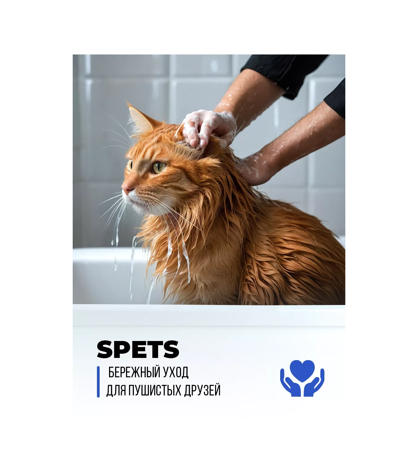 Spets Kediler Ve Köpekler İçin Pire Ve Kenelere Karşı Şampuan 1 L 174411344