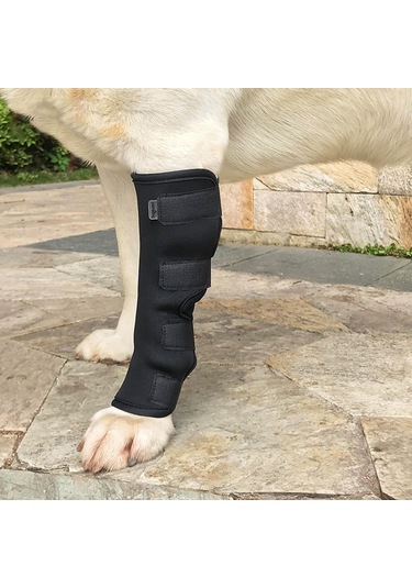 Homyl Artrit Yara İyileştirmesinden Kaynaklanan Stabilite Xl