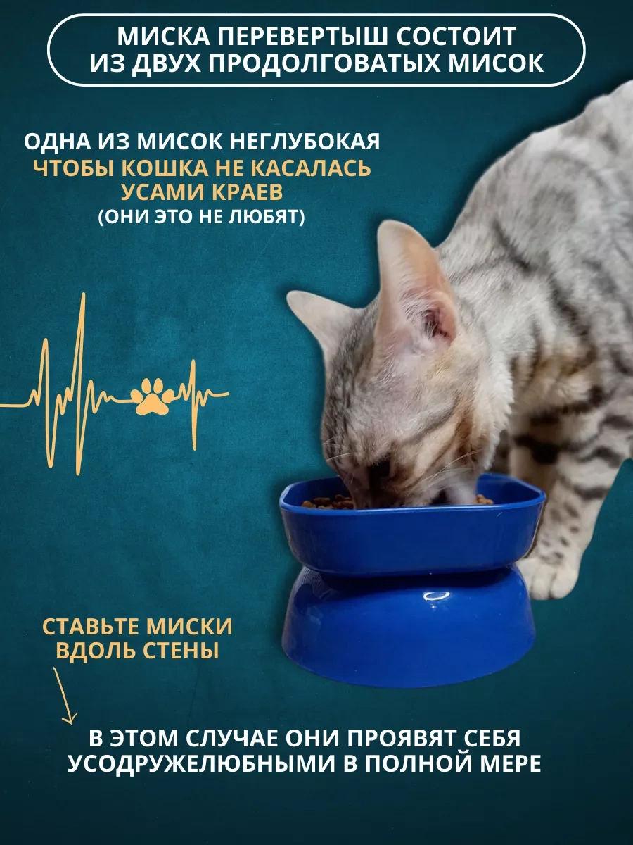 Anticarapki Duylarına Sahip Kedi Maması Kapları 2 Adet. 161936912