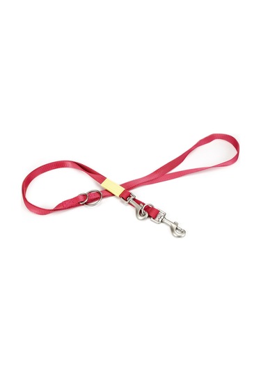 Beeztees Köpek Gezdirme Kayışı, Pembe, 200cm, 20mm Çok Renkli