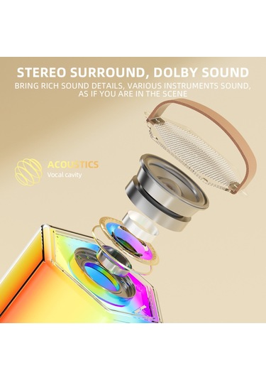 Skycıty Kablosuz Karaoke Ses Sistemi, İki Mikrofonlu