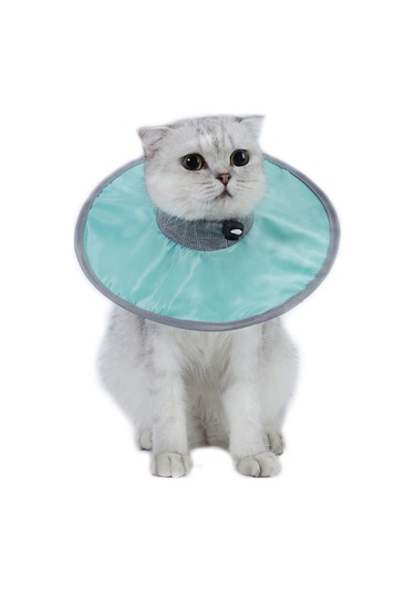 Hombey Kedi Ameliyat Sonrası Yalama Engelleme Kolye, Yumuşak Ribalı Yaka, Ayarlanabilir Çekmecik, Ye-meyve İçebilme Özelliği, Turkuaz M Ya001k071