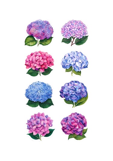 Yenilebilir Şekerli Kağıt Baskısı Cupcake Ve Pasta Resim Baskı Çiçek Temalı 09