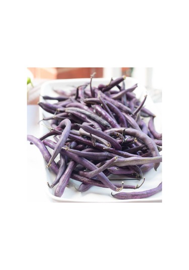 Geleneksel Purple Wax Sırık Fasulye Tohumu 10 Tohum
