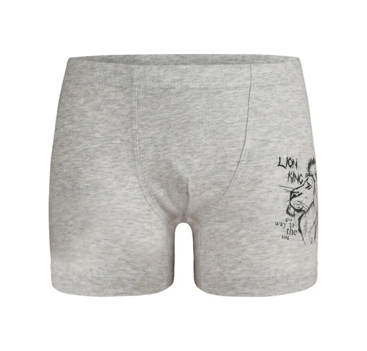 Donella 5 Adet Çocuk Külotu Seti 388120021 Gri