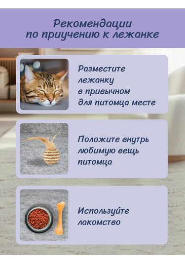 Eva Pets Kediler Ve Köpekler İçin Yumuşak Oyuncaklı Kulübe 286460455