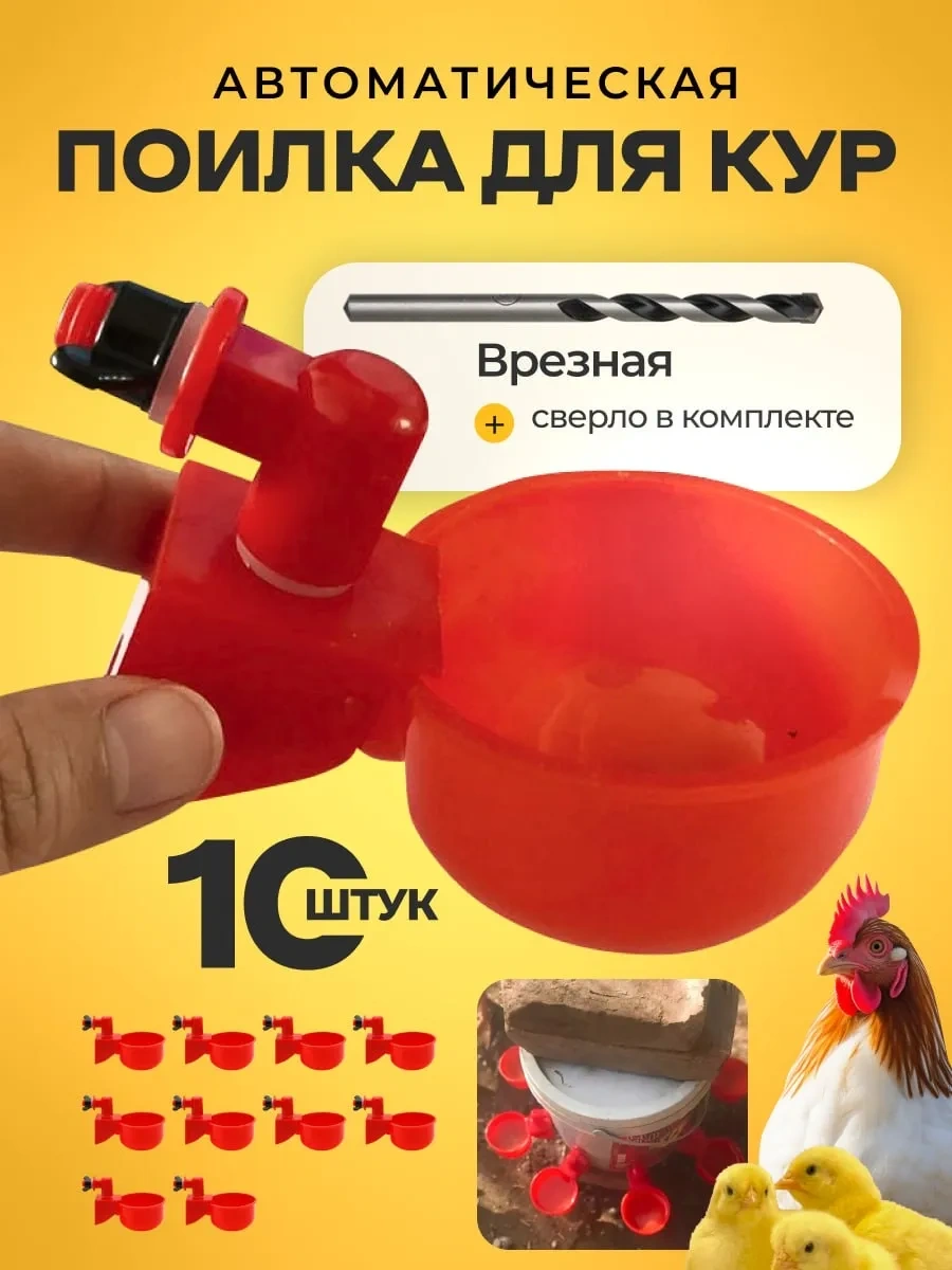 Home Sweet Home Kavanoz Suluk, 10 Adet 240212028