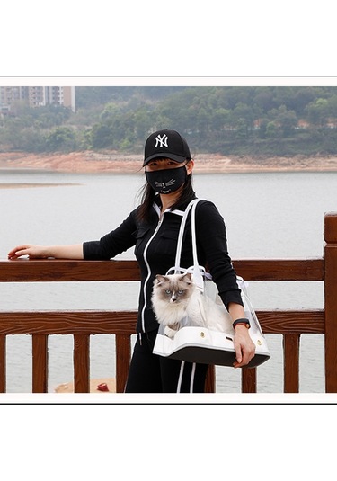 Dodopet Açık Taşınabilir Moda Şeffaf Kedi Köpek Pet Taşıma Çantası Çanta Omuz Çantası, Boyut: 36 X 20 X 30cm Beyaz