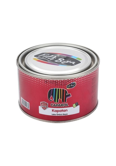 Filli Caparol Kapatan Leke Örtücü Boya 0,25Lt