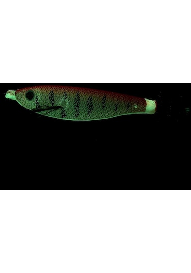 Ryuji Toto Squid 7cm Kalamar Zokası