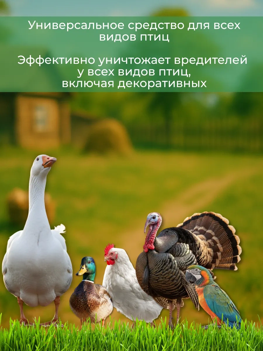 Exmork 3 Litre Kuş Tüyü Fareleri Ve Ardentiler İçin İlaç 182448194