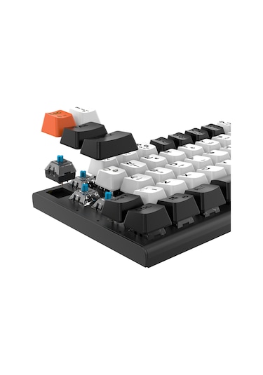 Everest KB-MK9 Parley Rainbow Aydınlatmalı Usb Kablolu Oyuncu Klavyesi