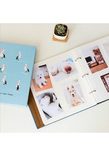 Sones Kendin Yap Gevşek Yapraklı Kendinden Yapışkanlı Fotoğraf Albümü He Finch