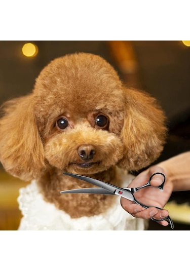 Müstesna Profesyonel Pet Kuaför Kavisli Makas 19.5 CM