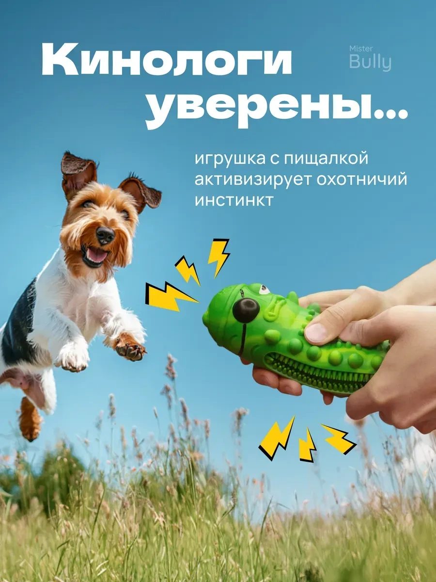 Misterbully Orta Irk Köpekler İçin Diş Sağlığı Dostça Oyuncağı - Sağlam Yapıda 264323651