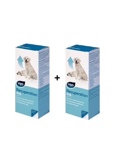 Viyo Recuperation Köpek Ek Besin Takviyesi 2 x 150 ML