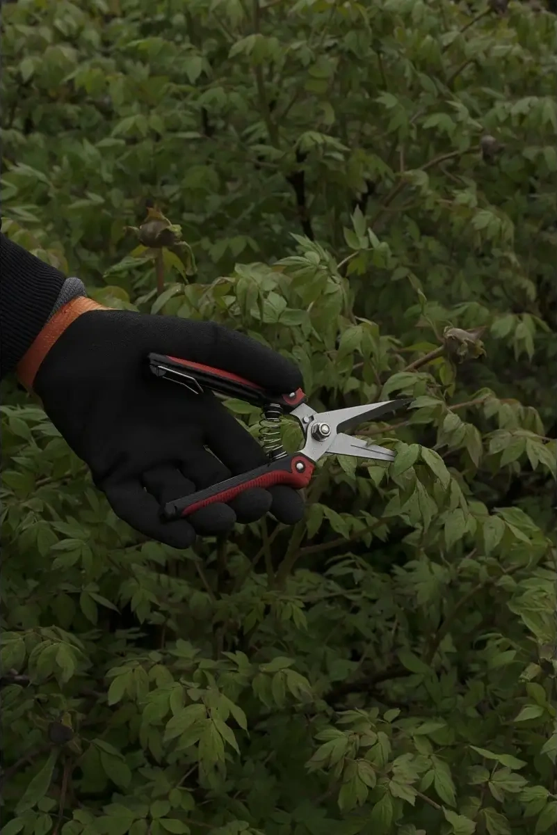 Frommyheart Bahçe Makasları 79473209