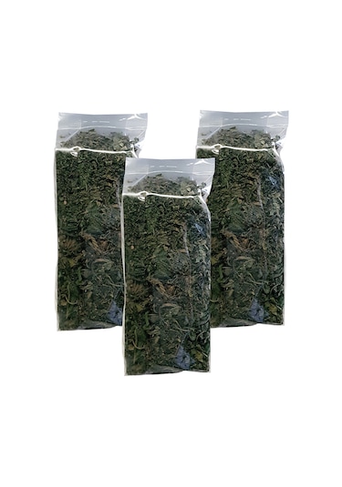 Zencefil Organik 3 Paket Isırgan Otu Çayı Kurutulmuş