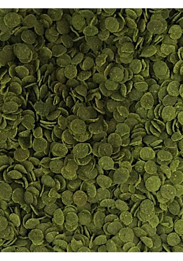 Veggie Green, Veggie Garlic Protein ve Flora 50gr Balık Yemi