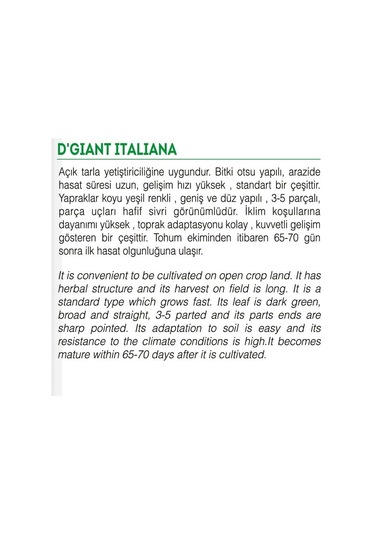 AGRodal Tarım Ata Tohumu Yerli Doğal Maydanoz 2500 Tohum