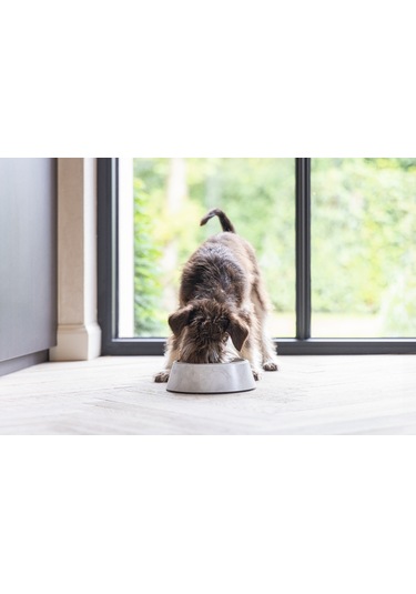 Beeztees Dbl Köpek Mama Su Kabı, Mat Paslanmaz Çelik, Beyaz Mermer Görünümlü, 14cm, 160ml