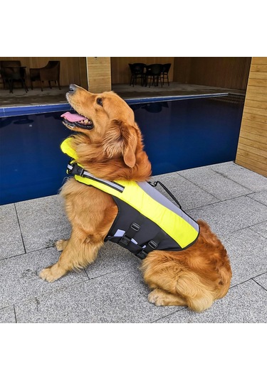 Homyl Yüzme Havuzu Köpek Için Pet Can Yeleği Koruyucu