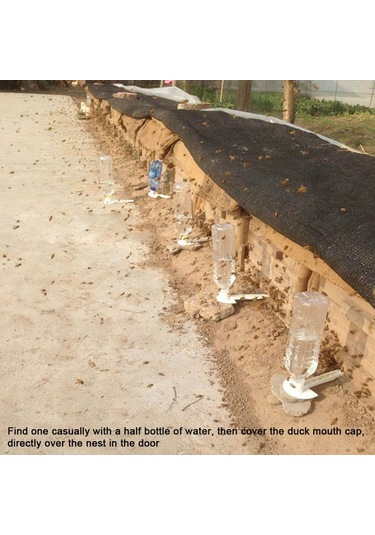Sones 10 Adet Ördek Gagası Tipi Su Besleyici Yuva Kapı Besleyici Çok İşlevli Arı Şeker Besleyici Arıcılık Alet Malzemeleri