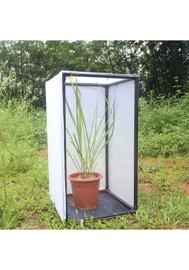 Monyee Pvc Çerçeveli Kelebek/boğa İçin Yetiştirme Kafesi, Bitki Korumalı Kafes, Ölçeğe Göre Özelleştirilebilir 40 30 40