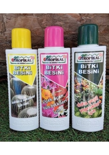 Bitki Besini 3' lü Set Kaktüs Sukulent Besini Çiçek Açtıran