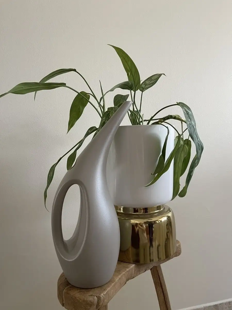 Zeytin Home İç Mekan Çiçekleri İçin Sulama Kasesi 75979411