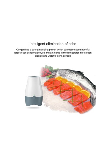 Ax168b Mini Buzdolabı Ozon Hava Temizleme Cihazı Ve Taze Koku Giderici Gri Beyaz