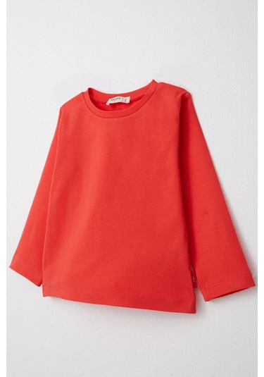 Breeze Erkek Çocuk Uzun Kollu Tişört Basic 1-4 Yaş, Narçiçeği-narçiçeği Narçiçeği