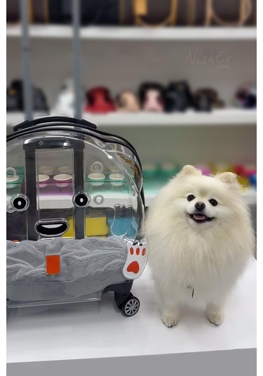 Nishev.com Evini Sev Sürülebilir Şeffaf Tekerlekli Kedi Köpek Hayvan Taşıma Çantası