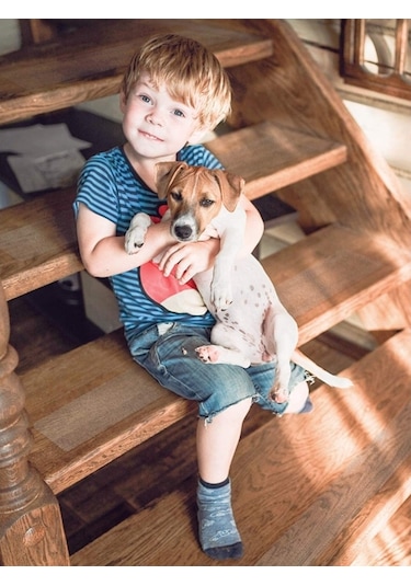 Şeffaf 5 Cm x 25 M Merdiven Kaydırmaz Bant